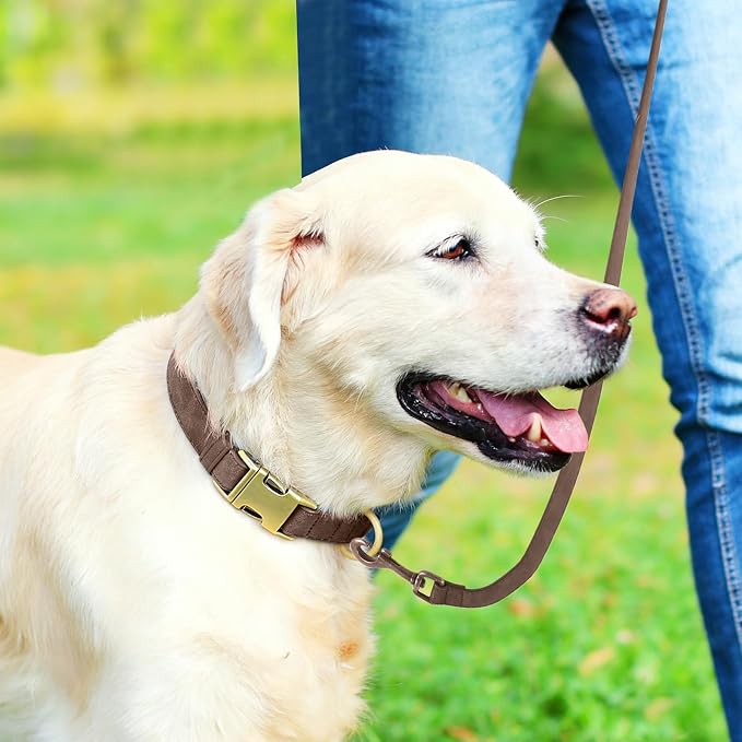 Genuine Leather Dog Collar - Adjustable Pet Collar with Quick Release Metal Buckle, Soft Skin Friendly Real Leather Collar for Small, Medium, Large Dogs (Dark Brown, S：Fit 8-16" Neck)