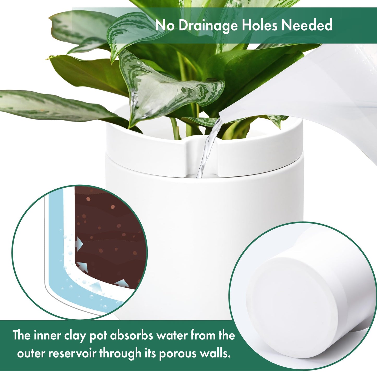 Phoenix Vine 10 Inch Cylinder Self Watering Planter, White Glazed Outer Plant Pot with Dolomite Clay Inner Planter for Indoor Plants, White, 31-A-I-W