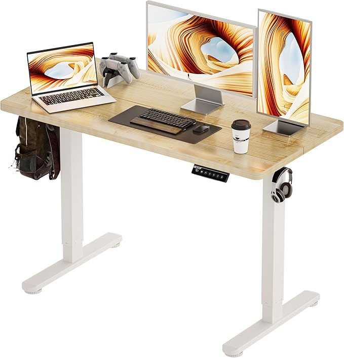 BIZUM Standing Desk Electric Adjustable Computer Desk-Stand up Desk Office
