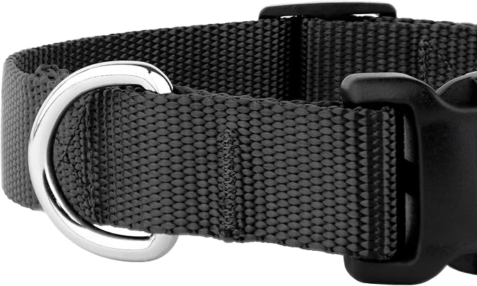 Country Brook Petz - Everyday Nylon Dog Collar and Leash - 10+ Cool Colors (3/8 Inch, 3XS, Black)