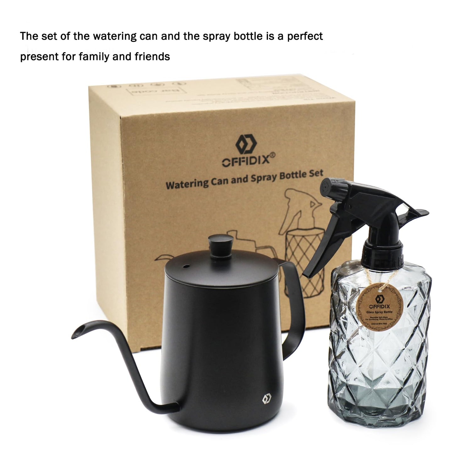 OFFIDIX Watering Can for Indoor Plants,Long Spout Metal Stainless Steel 21 oz Watering Can with 14 oz Glass Plant Mister Spray Bottle for Plant Bonsai