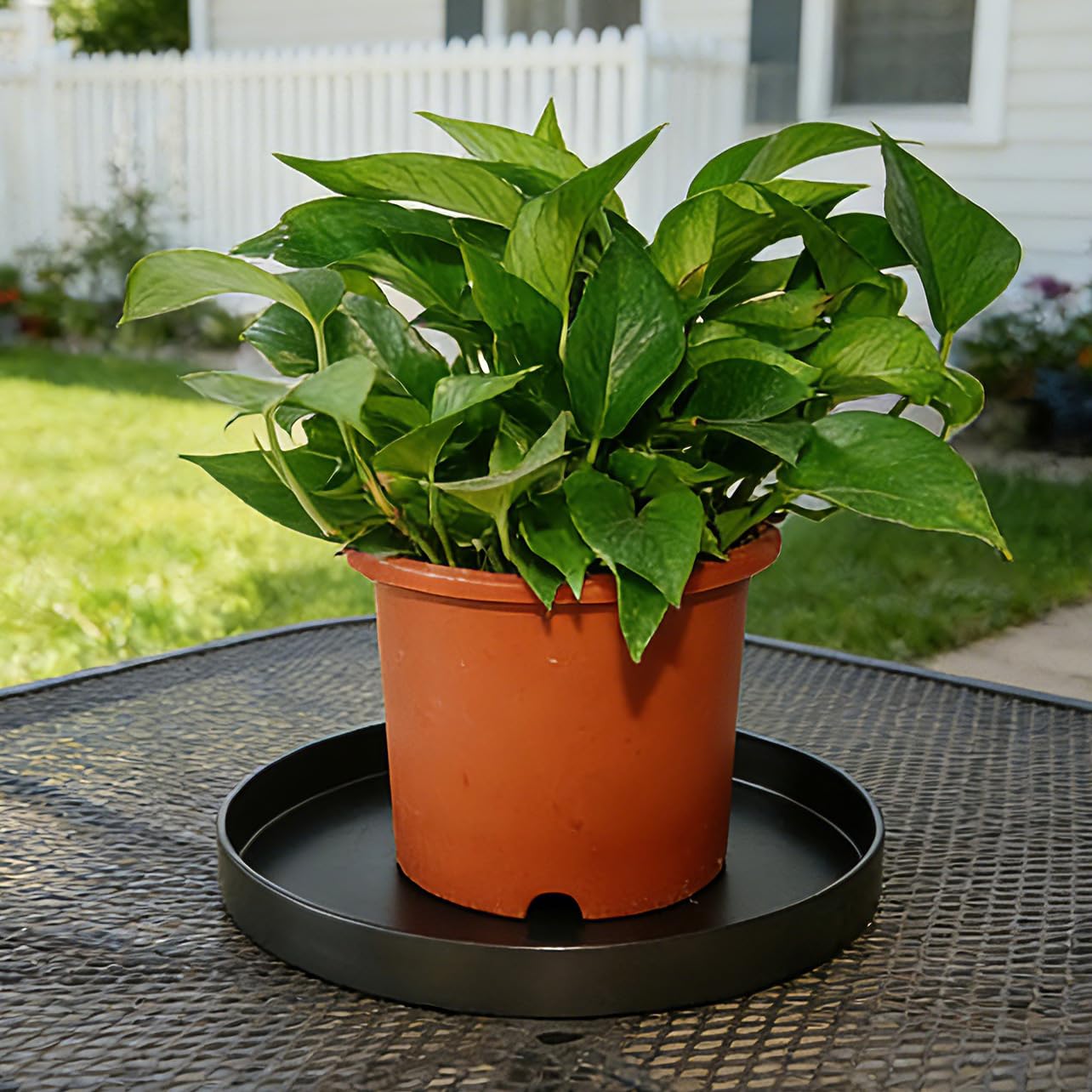 Afrine 2 Pack 8 inch Plant Saucer Drip Tray, Heavy Sturdy Plastic Planter Flower Pot Drainage Tray Plate Saucers for Indoor Outdoor Garden, Plant Water Drip Trays for pots Base (8", Black)