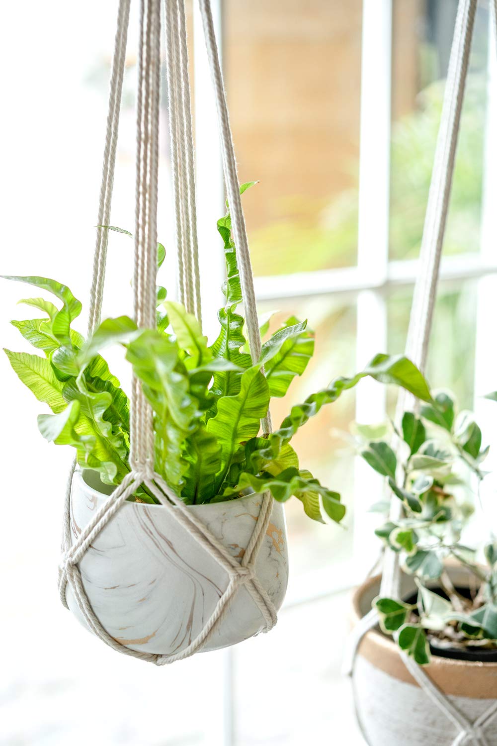 Dahey Macrame Plant Hanger with Hooks Indoor Hanging Planter Basket Handmade Woven Cotton Rope Flower Pot Crochet Plant Holder Stand for Boho Home Decor No Tassels