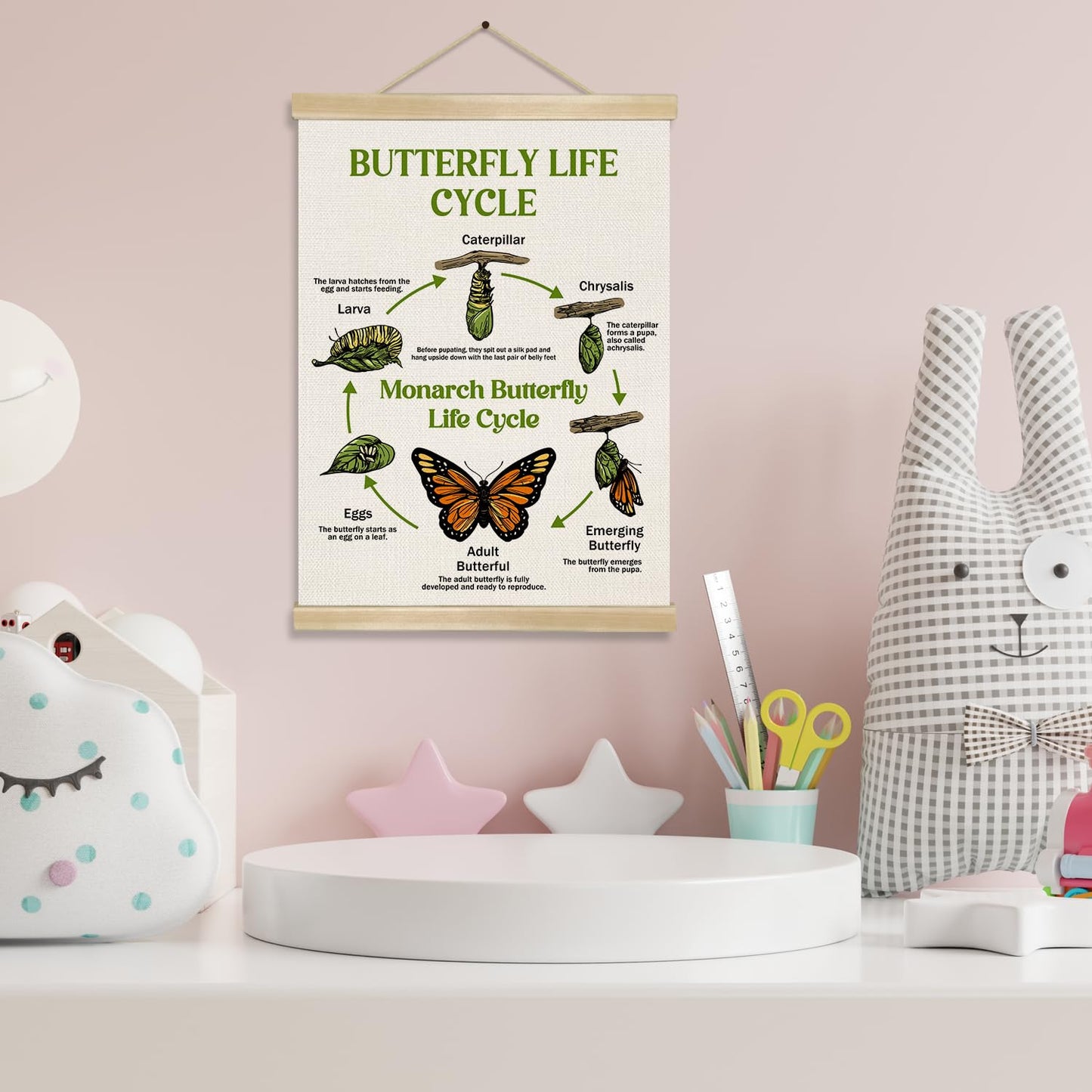 Butterfly Life Cycle Educational Wall Art,14x18.5Inch Insect Life Cycle Chart Wall Hanging Canvas Poster, Butterfly Science Learning Posters for Classroom Nursery Homeschool,Kids Room Decor (Green)