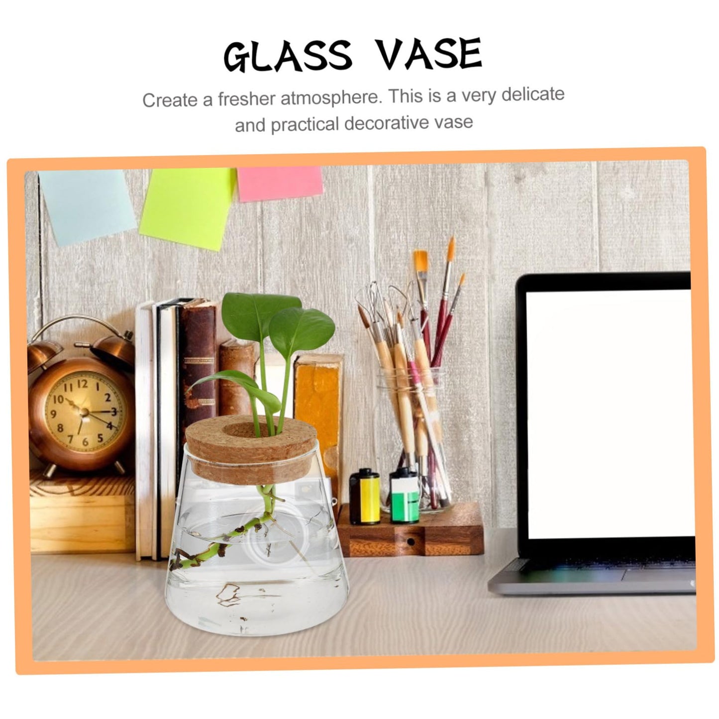 EPIGEIST 2Pcs Hydroponics Vase Planter Chic Desktop Glass Terrarium for Home Office Decor Plant Holder for Observation Growth Design