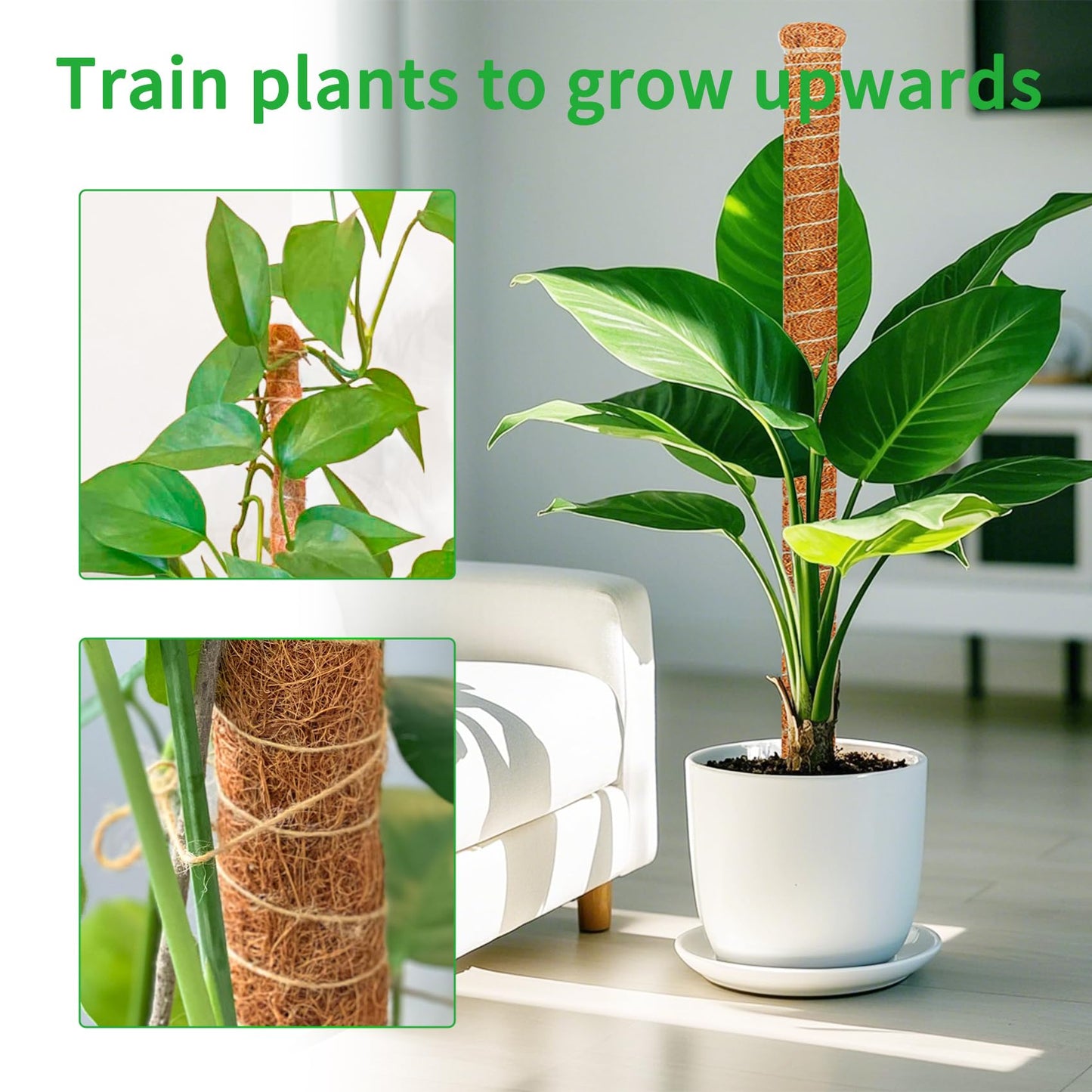 Dimpoo 2 Pack 48 Inch Moss Pole Monstera Plant Support, Coir Moss Poles for Climbing Indoor Plants, Bendable Plant Stake Trellis for Potted Plant, Pothos, Philodendron