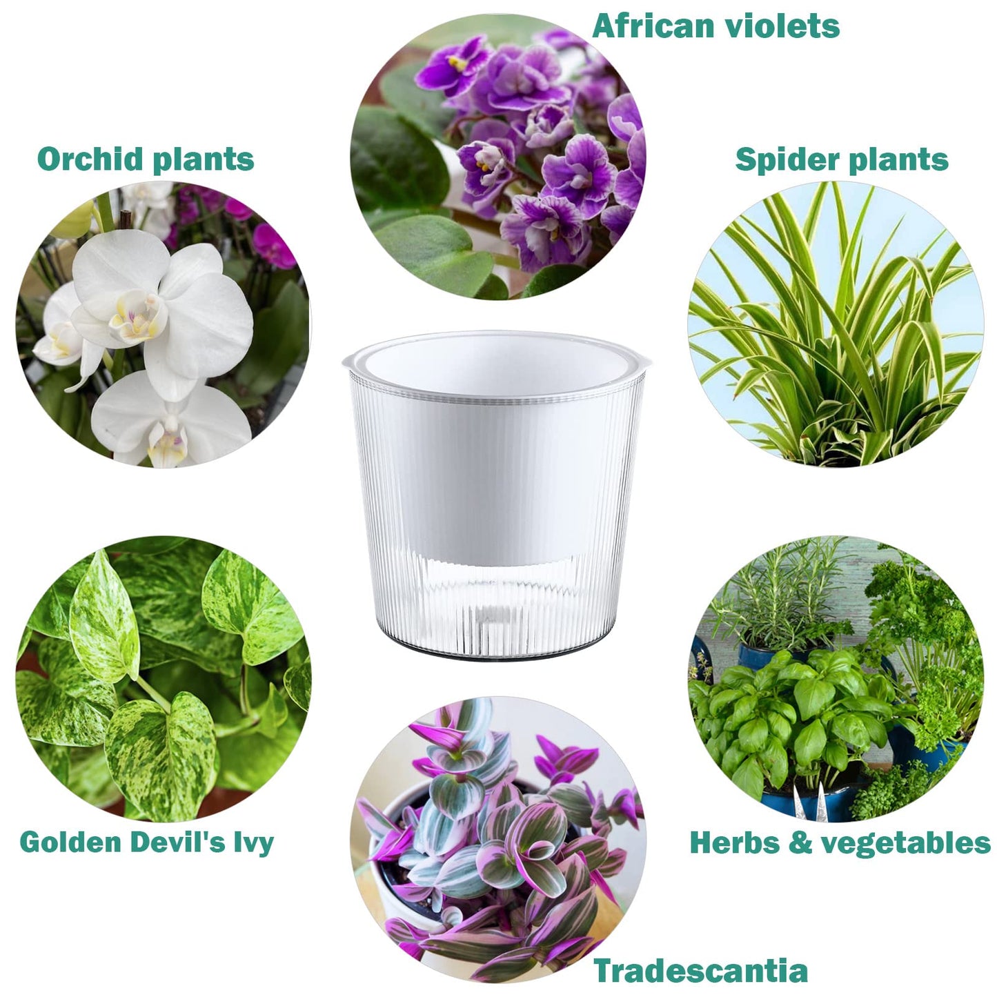 8-Pack 4.5 Inches Clear Self-Watering Planters and Pots for Indoor Plants Small Orchid Plant Pots Plastic Wick Flower Pots, African Violet Pot Set, Home Decor Pot