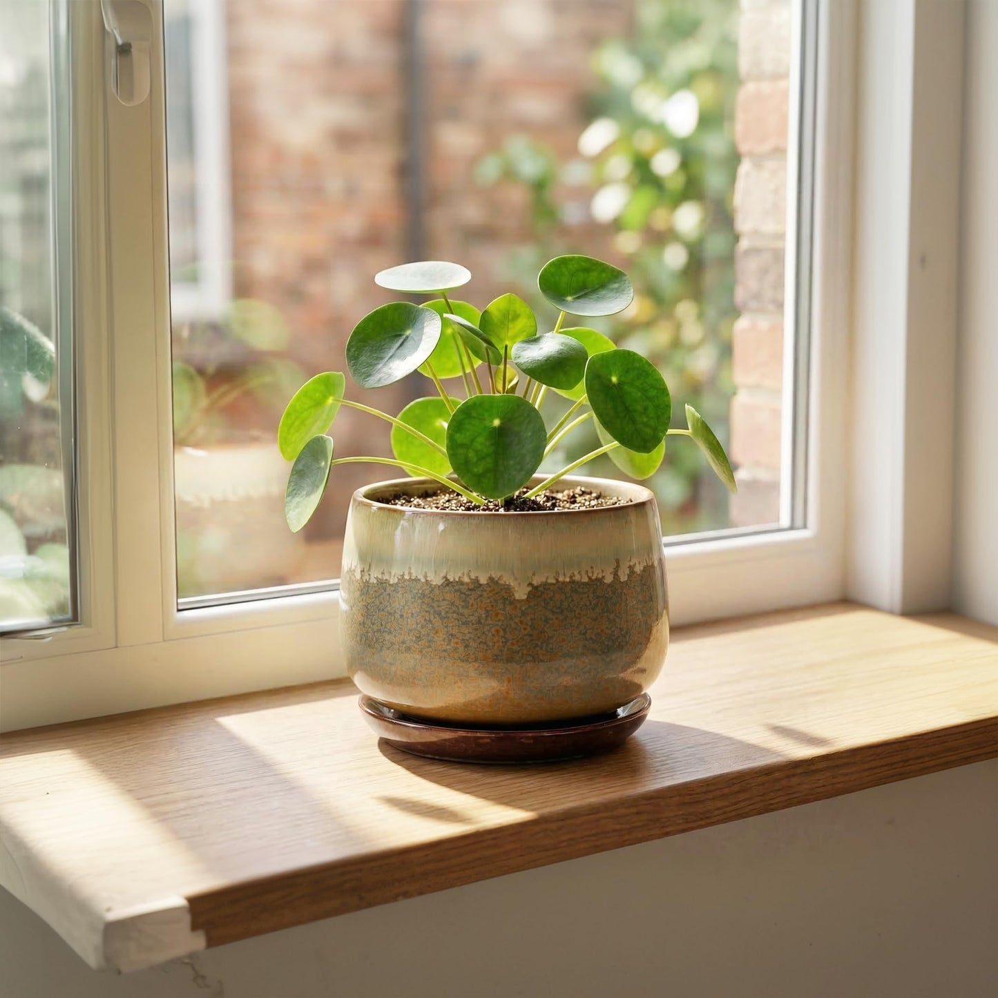 Fivepot 6 Inch Plant Pot - Ceramic Pots for Indoor Plants, Round Small Succulent Planter with Drainage and Saucer, Decorative Flower Pot, Office Room Decor, Gifts for Plant Lovers, Brown-Beige