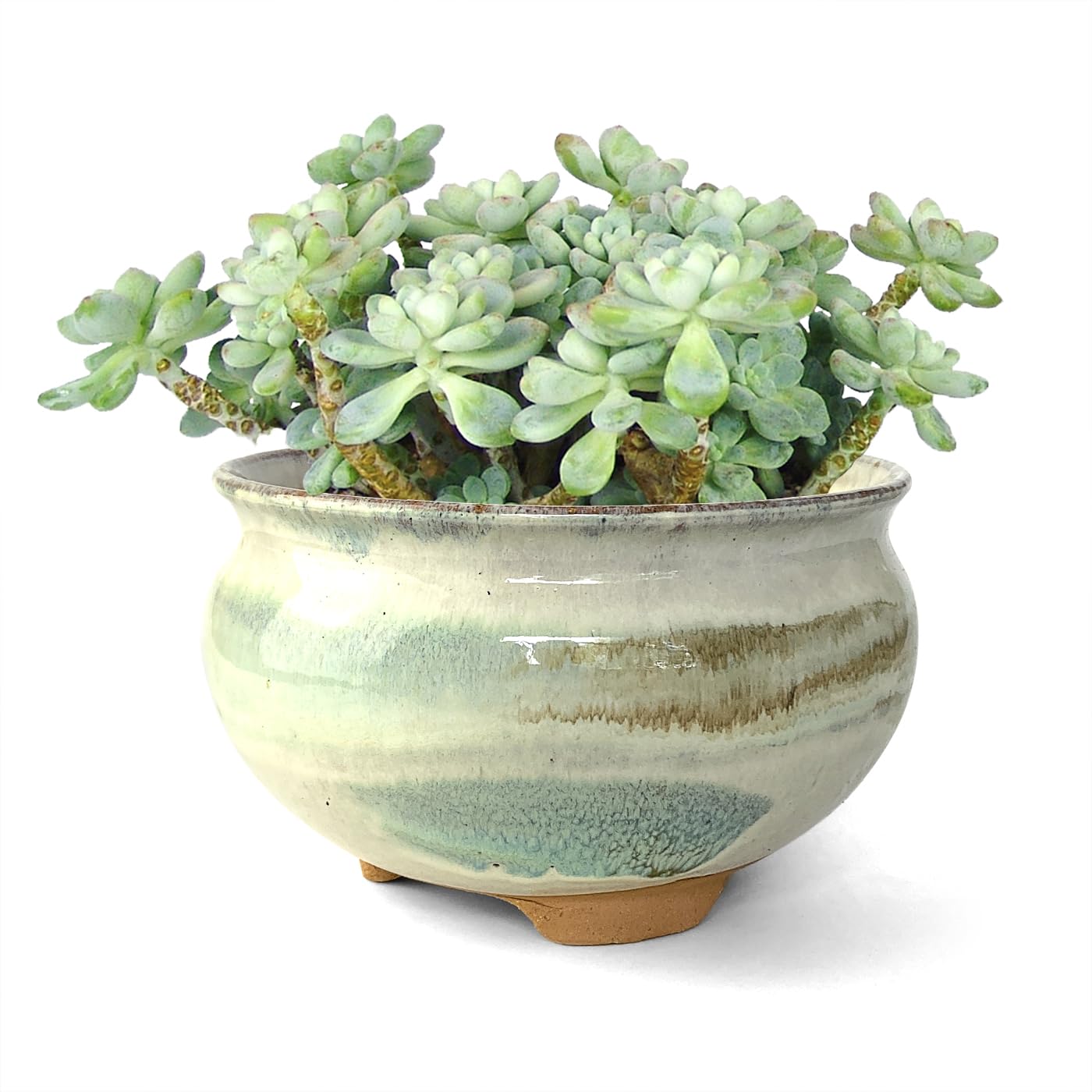 Summer Impressions 8 Inch Succulent Pot with Drainage and Saucer Glazed Terracotta Round Ceramic Succulent Planter Cactus Bonsai Plant Pot (Gream)