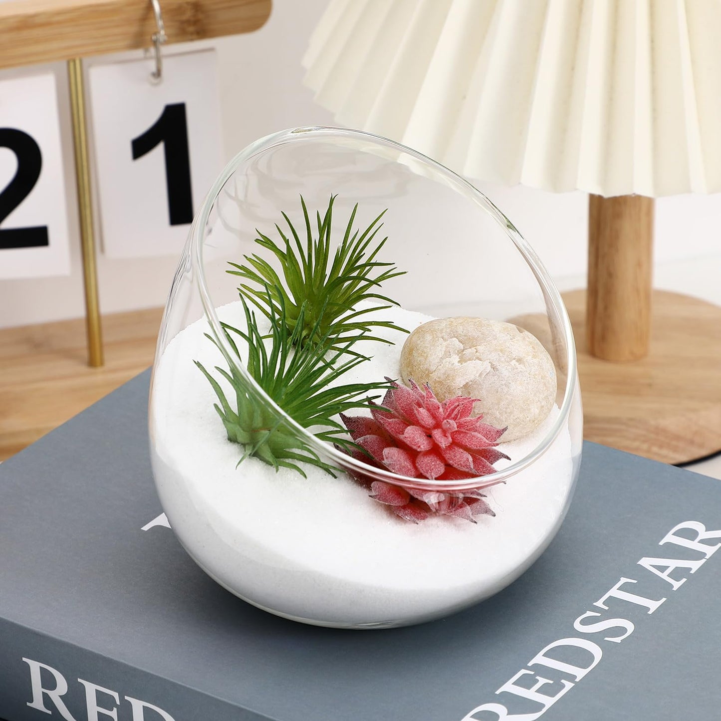 WOFASHPURET 4.72" Slant-Cut Glass Terrarium Jar – Thickened Globe Bottle for Succulent & Moss Mini Ecosystem, Stable Desktop Planter for Home Office Décor & Gift