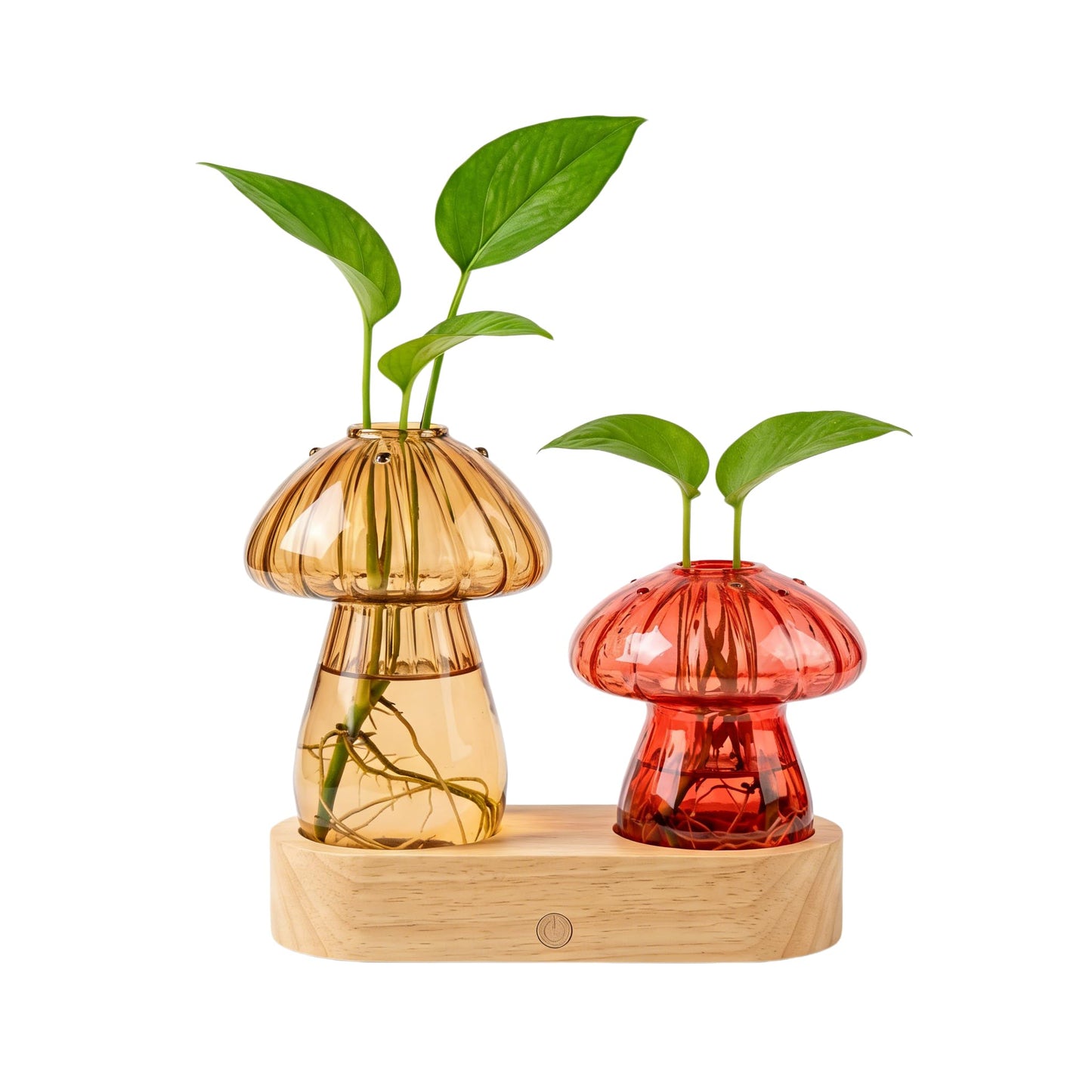 Propagation Vase with Light，Plant Propagation with Stepless Dimming Function for Home Office Night Decor,Led Hydroponic Plant Jars Valentines Day Gifts for Mom Women Plant Lovers