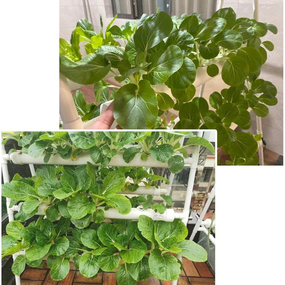 LAPOND Hydroponics Growing System Kit 36 Plant Sites Food-Grade PVC-U Pipes Hydroponic Grow Kit Gardening System for Vegetables,Fruits,Herb
