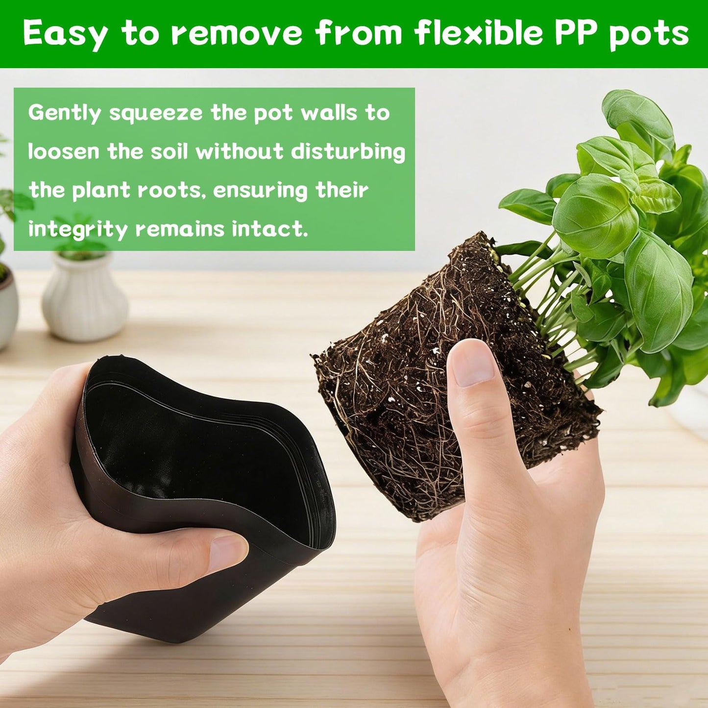 FCKLVMC 60 Pcs 4 Inch Square Nursery Pots with 60 Plant Labels, Durable Flexible Plastic Planter Nursery Pots, Square Pots for Plants with Drainage Holes for Plants Succulent Flower