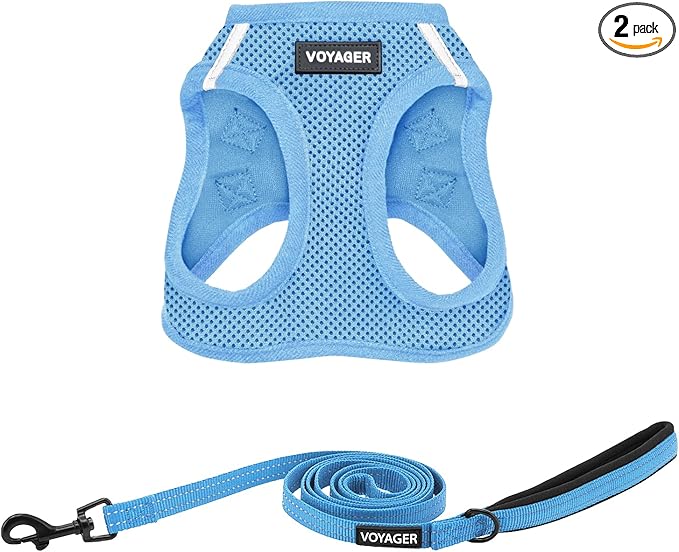 Best Pet Supplies Voyager Step-in Air All Weather Mesh Harness and Reflective Dog 5ft Leash Combo with Neoprene Handle, for Small, Medium and Large Breed Puppies - Baby Blue, X-Large