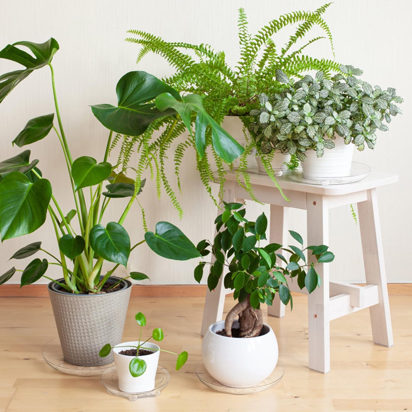 YOUEON 24 Pack Clear Plant Saucers with Feet, 6/8/10/12 Inch Heavy Duty Plastic Plant Drip Trays, Flower Pot Trays, Plant Water Catcher Tray for Indoor & Outdoor Plants, Round, 4 Sizes