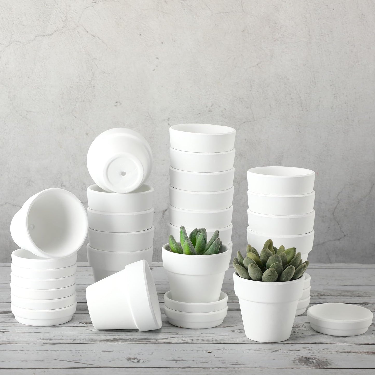 Lallisa 36 Pieces 3 Inch Mini Terracotta Pots with Saucers and Drainage Hole White Paintable Pottery Small Clay Pots for Crafts Mini Planters for Succulents Cactus Flowers Garden Crafts Wedding Decor