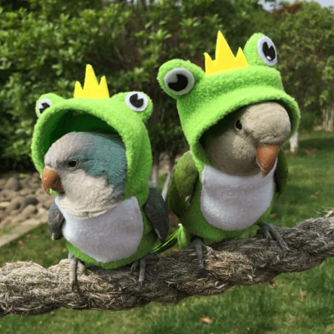 Bird Costume Diaper Flight Suit Frog Shape Hoodie Clothes Cosplay Photo Prop for Parrots Parakeet Cockatiel Sun Conure, Small Animals Apparel (Green with Diaper, Small), (BPF1)