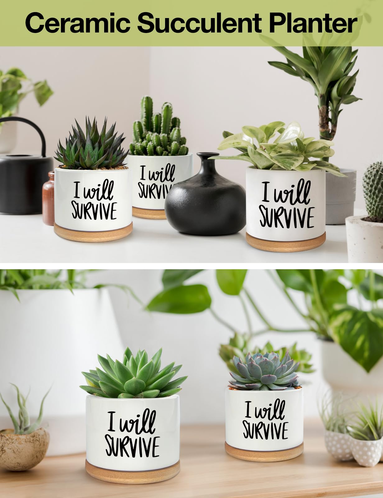 WHING 3.5 Inch Mini Succulent Planter Pot, I Will Survive Funny Engraved White Ceramic Cactus Pot with Bamboo Tray, Indoor Flower Plant Pots for Home Office Windowsill Decor Gift, Plant Not Included