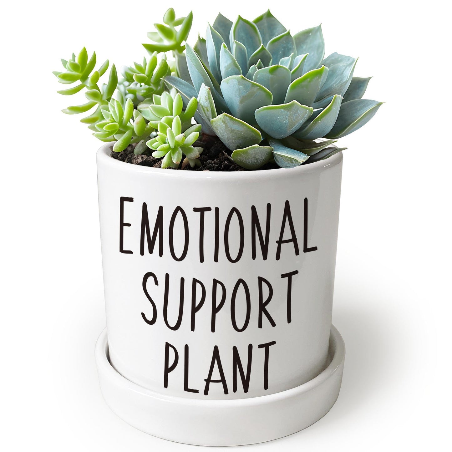 Lzracotz 4.3 inch Ceramic Emotional Support Plant Pot, Funny Succulent Pots, Cute Cactus Planters with Drainage Hole, Funny Plant Pot Emotional Support Cactus
