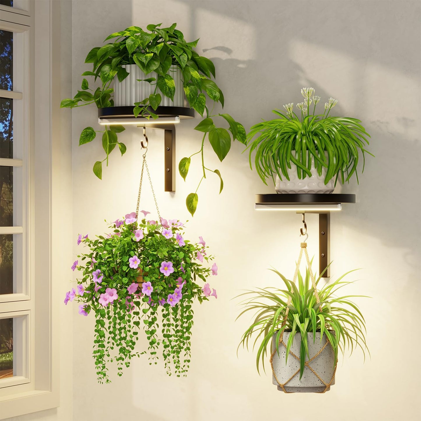 LASZOLA Plant Hangers Shelves Wall Mounted Indoor with Grow Lights, Metal Window Plant Holders, 2Pcs Modern Floating Flower Display Stand with 2 Hooks for Outdoor Kitchen Bathroom Decor, Black