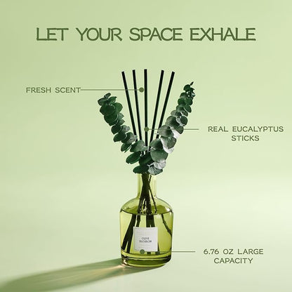 COCORRÍNA Olive Blossom Reed Diffuser – 6.76 oz Essential Oil with 8 Reeds & Real Eucalyptus Sticks, Home Fragrance for Bedroom or Bathroom Décor