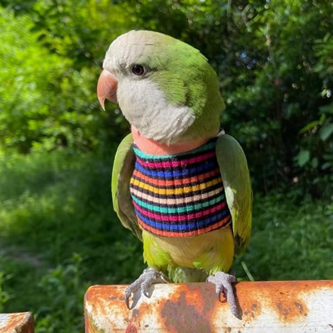 Bird Clothes - Handmade Cotton Stripe Shirt Round Collar Sweater Flight Suit for Parrots African Greys Parakeet Cockatiel Sun Conure Christmas Halloween (Without Diaper,L)