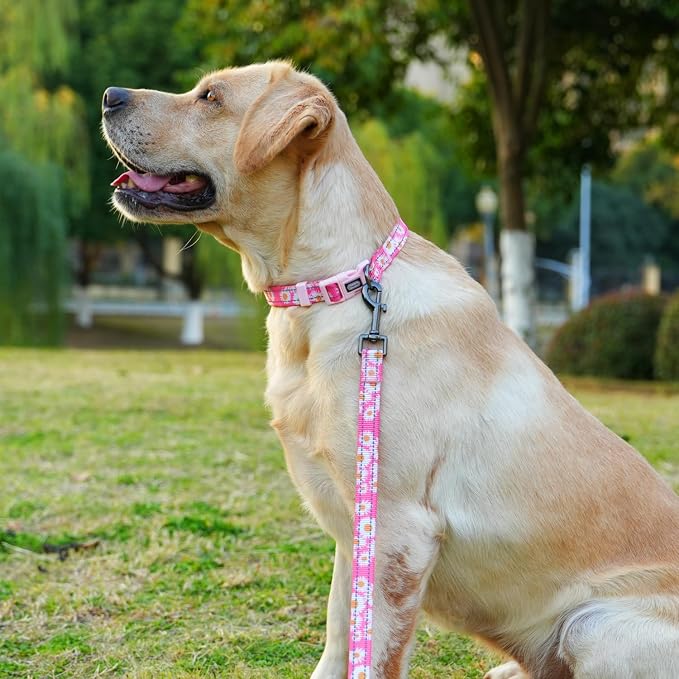 Dog Collar Leash Set, Floral Pattern, with Safety Reflective Strips, 5 ft Matching Leash, Neoprene Padded Handle, Adjustable 4 Sizes for Small Medium Large Dogs.(L, Pink Daisy)