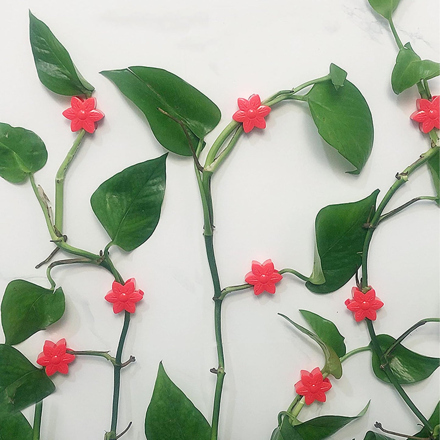 100 Pcs Plant Wall Clips with Acrylic Adhesive Sticker, Plant Climbing Wall Fixture Clips, Plant Support Clips, Self-Adhesive Hook Vine Plant Clips for Indoor Outdoor Decorations (Plum blossom-Yellow)