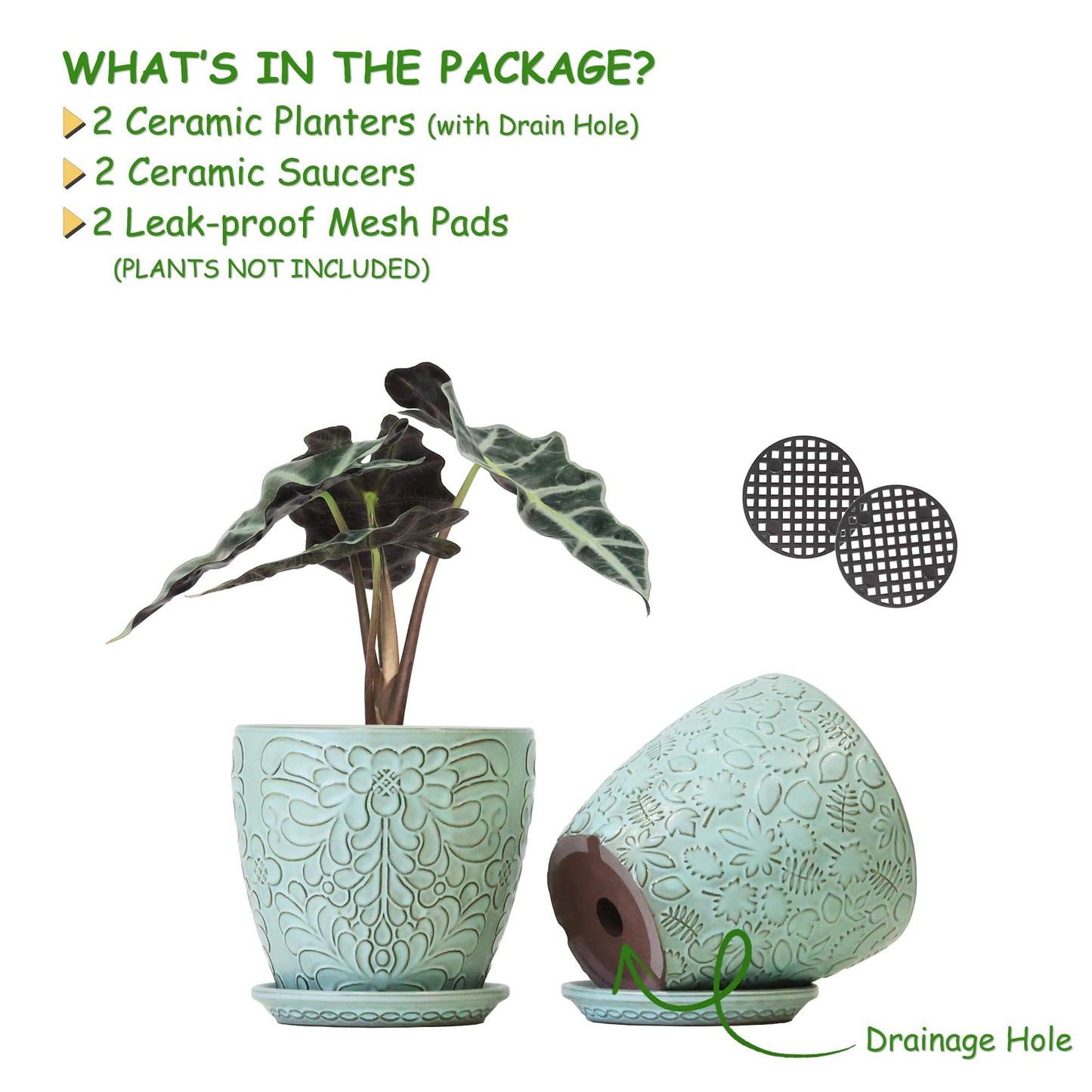 Bestseler 6 Inch Retro Ceramic Planter Set of 2 with Drainage Hole and Saucer for Plants, Indoor-Outdoor Garden Pots for Succulent, Orchid, and Flower (Fits Inner Pots Up to 5 Inches, Retro Green)
