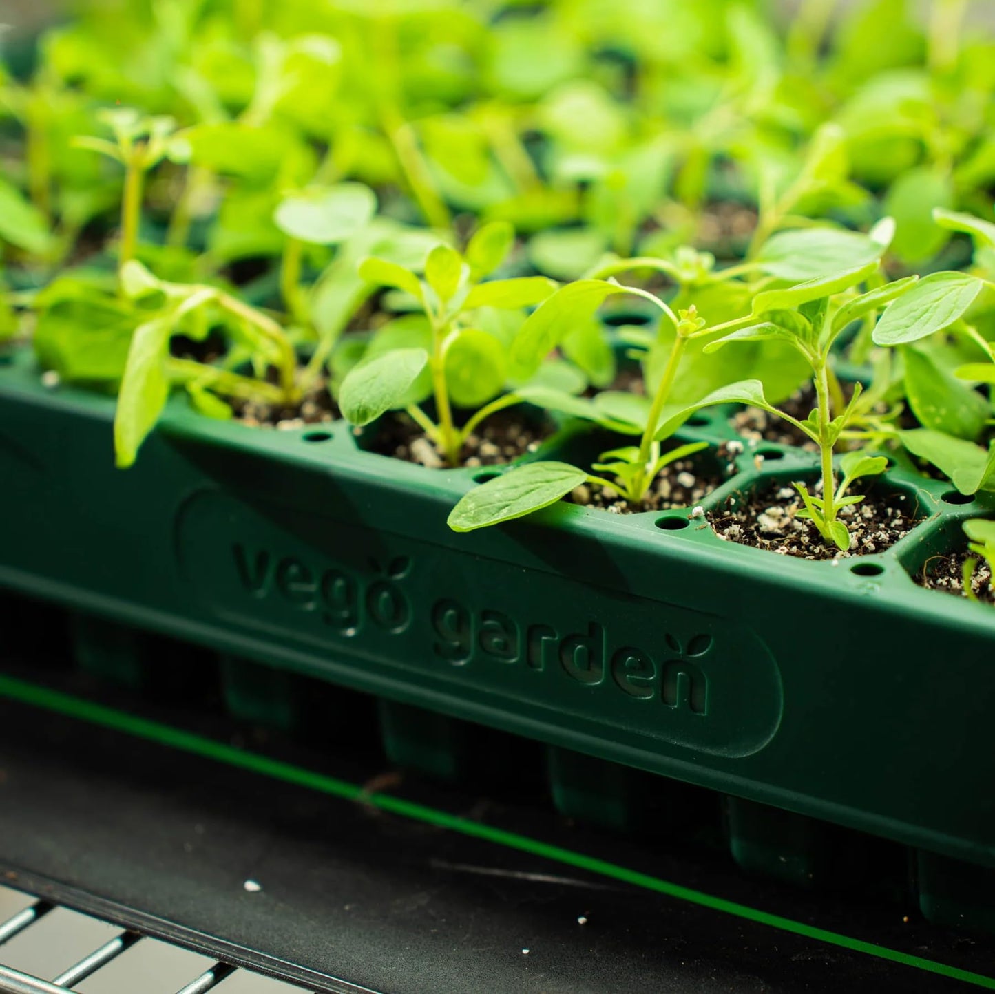 Vego garden 10" x 20" 76 Cells Seed Starter Tray Stackable Seedling Starting Germination Trays for Plants Planting Vegetables Herbs Flowers, 3 Sets