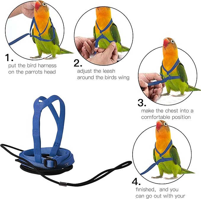 2 pcs Pet Parrot Bird Harness and Leash, Adjustable Training Design Anti-Bite, Outdoor Flying Training Rope Kit for Bird Parrots Fits Birds Chest Between46-76cm /18.11-29.92inch - XL (Blue)