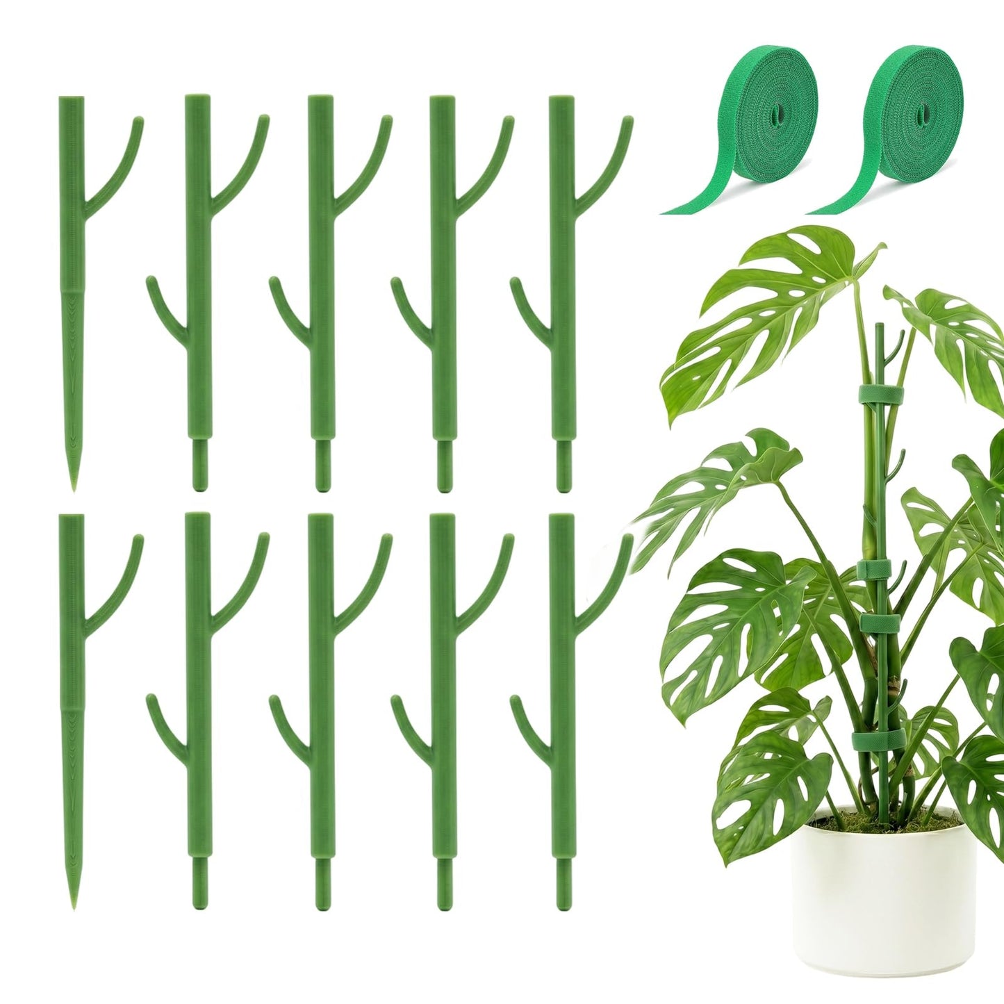 Heavy-Duty Monstera Plant Support Stakes - 10-Piece Stackable Sticks for Climbing Stem up to 39.6" Tall - 0.55" Thick Indoor Plant Poles & Outdoor Garden Structures