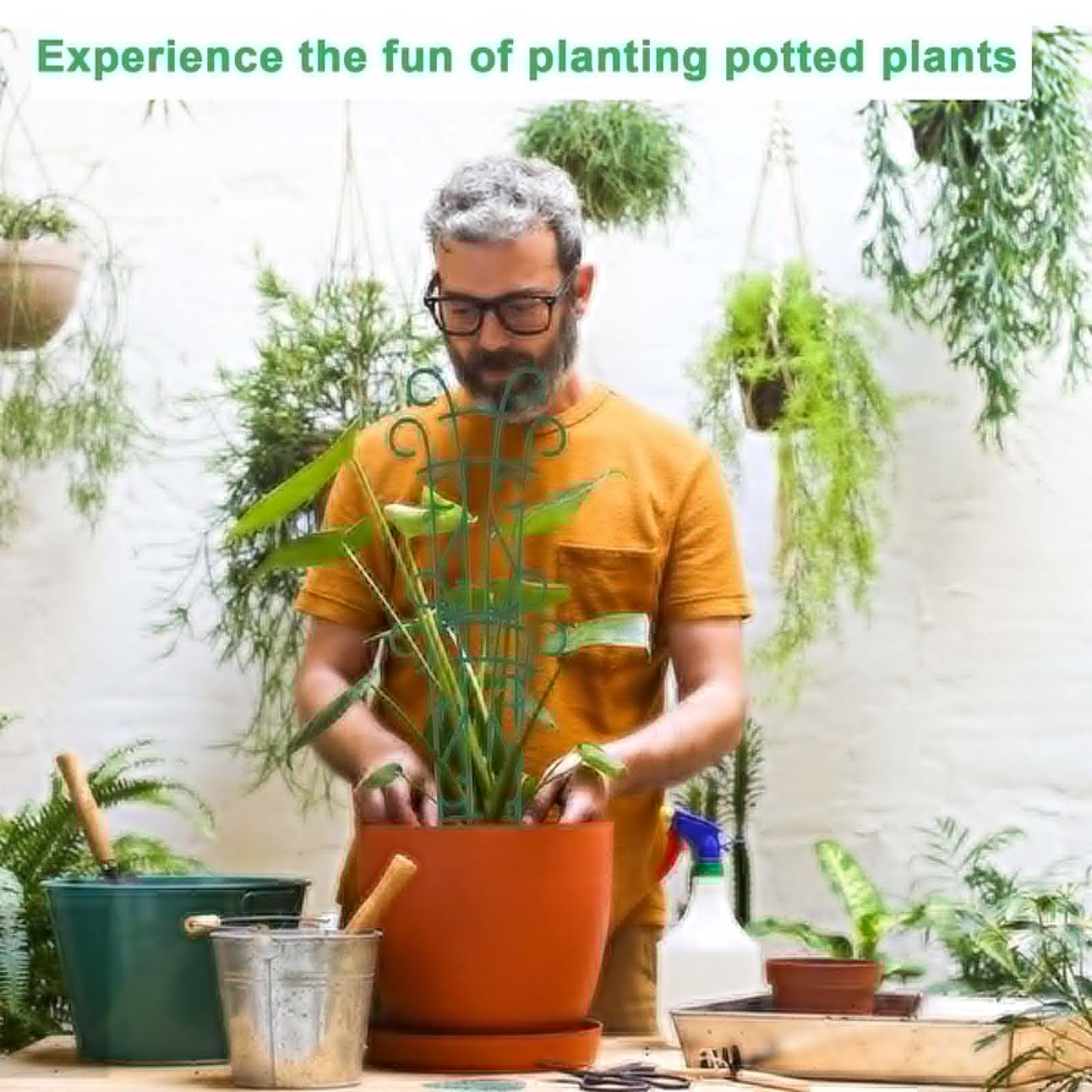Qaobo Plant Trellis for Potted Plants 4 Pack Stackable Indoor Outdoor Climbing Houseplant Support with Garden Wire for Pothos Hoya Ivy Flower