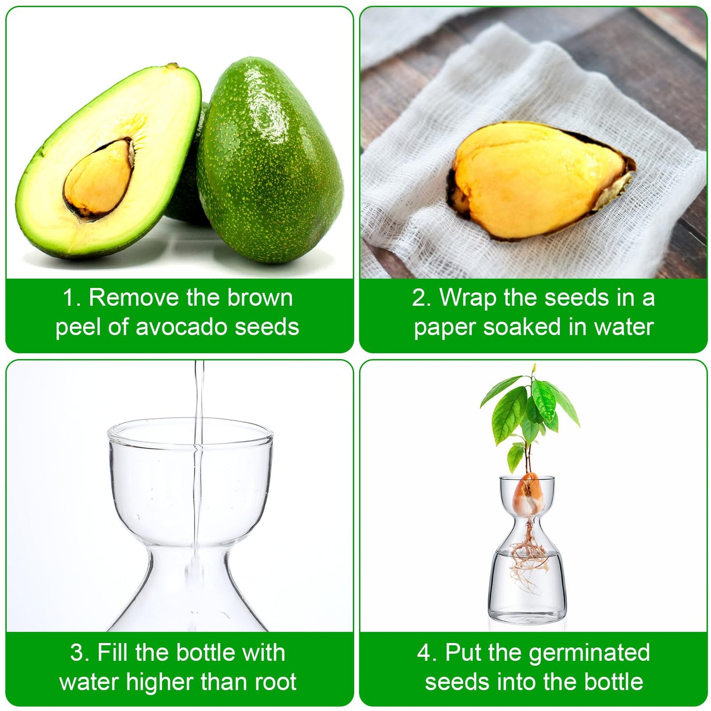 3 Pcs Acorn Vases Glass Avocado Vase Avocado Glass Vase for Growing, Hydroponics Terrariums Pot Deco Indoor Bulb Vasees Propagation Vases for Home Table Desk Indoor Decor Gardening Lover Gifts
