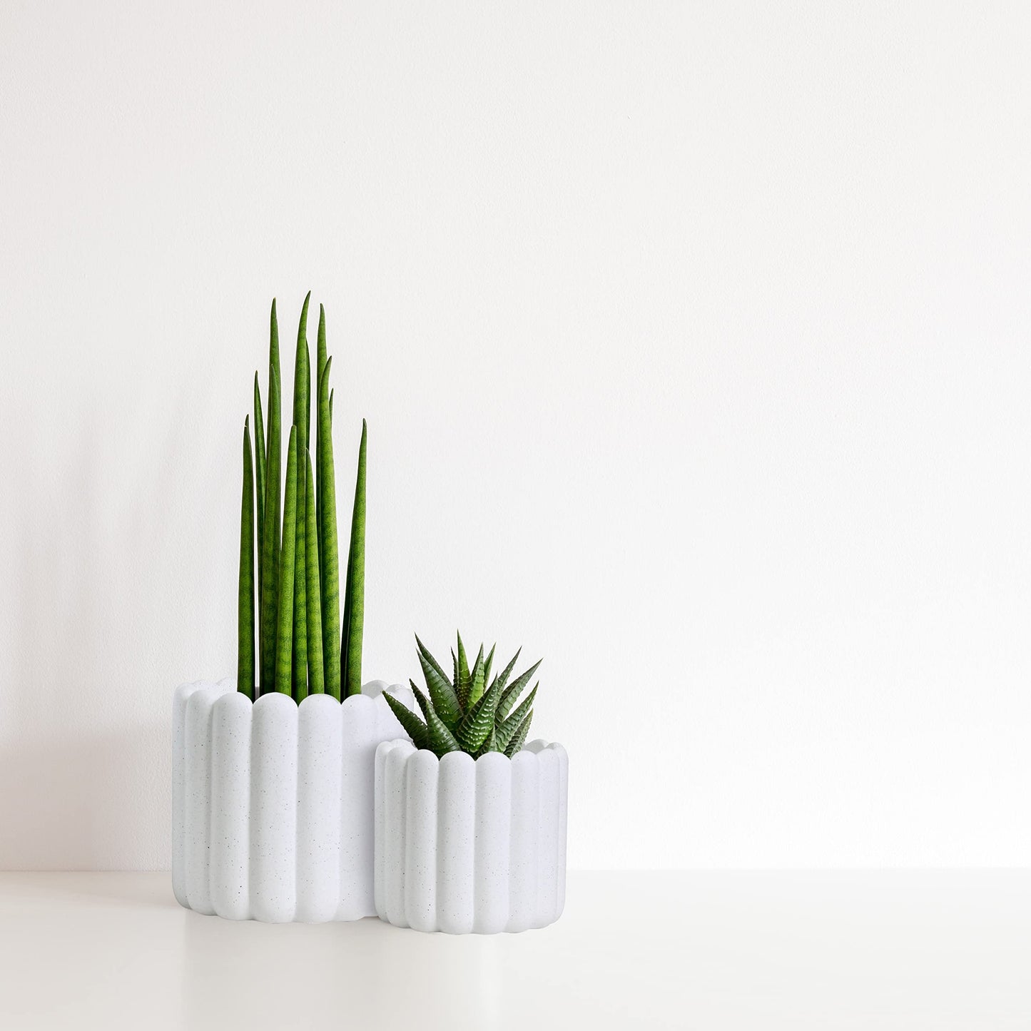 Olly & Rose Vertical Striped Ribbed Plant Pots - Charcoal Speckled White Planters - 6.5" and 5.3" Diameter Flower Pots for Indoors and Outdoors (White Ribbed)