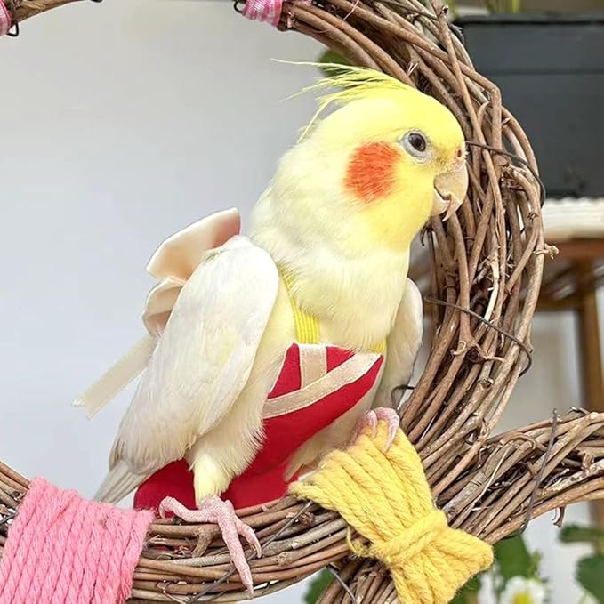 Bird Flight Suits Diapers, Parrot Flight Suits Diapers for Quaker Parakeets Cockatiels Conures Macaw African Grey, Bird Diaper, Parrot Clothes (Green A,S)