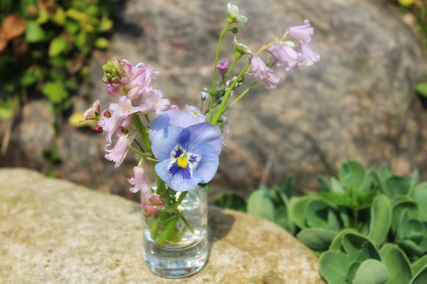 WGVI Quality Thick Clear Cylinder Glass Vase, 3" W x 5" H, Floral Container, Glass Candle Holder, Flower Vases, Wedding Centerpiece, Planter Terrarium, Table Top Home Décor Accent, 1 Piece