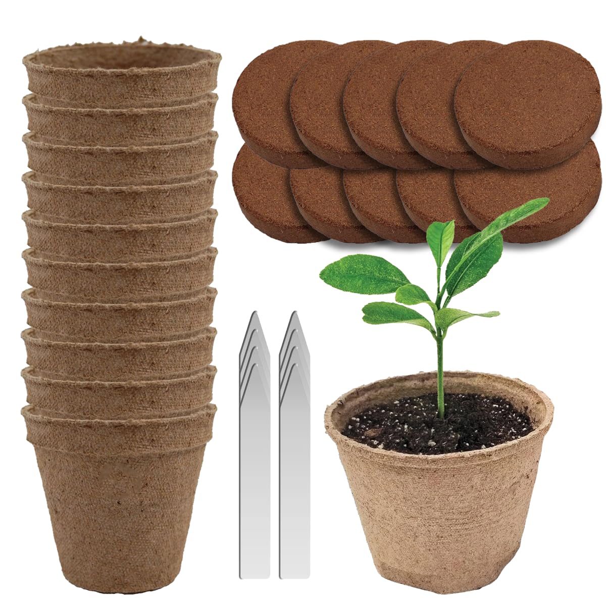Garden Haven Seedling Starter Kit Germination Grow Cups and Soil (10 Pack) Biodegradable Peat Pots, Coco Coir Soil Discs, Plant Markers - Organic Grow Kit for Seed Germination, Indoor/Outdoor (1)