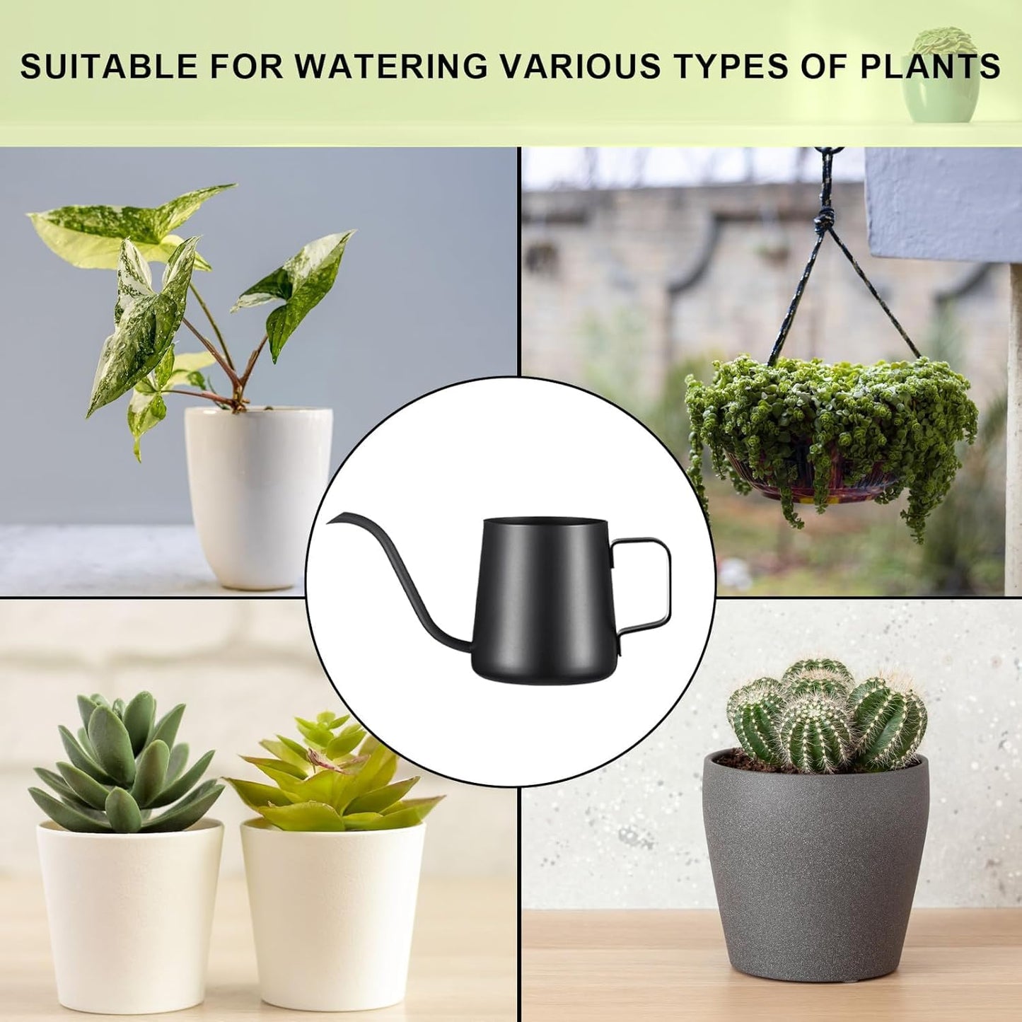 Lizhluzh 12 oz / 350 ml Small Watering Can Indoor Plants, Stainless Steel Plant Watering Can with Long Spout (Black) (12oz)