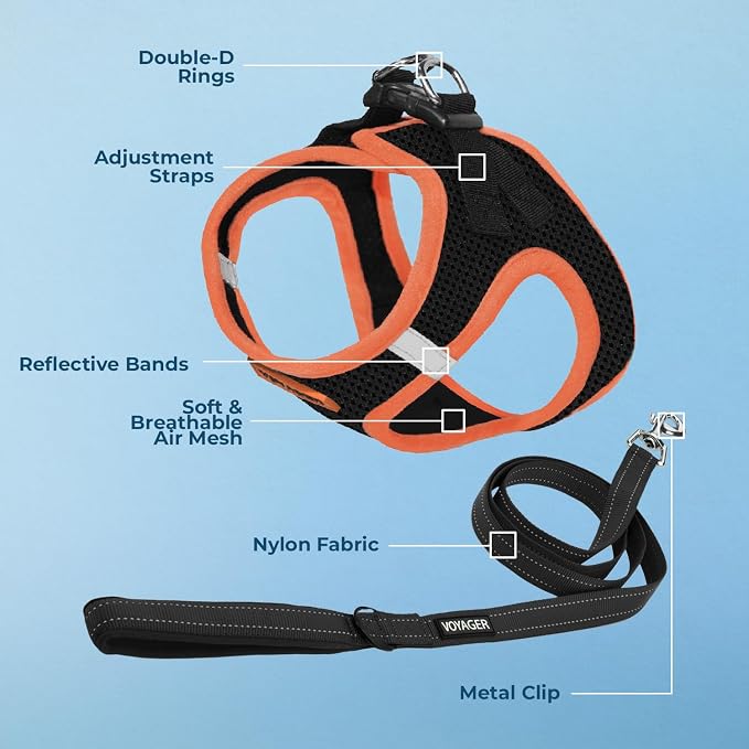 Best Pet Supplies Voyager Step-in Air All Weather Mesh Harness and Reflective Dog 5ft Leash Combo with Neoprene Handle, for Small, Medium and Large Breed Puppies - Set (Black/Orange Trim), X-Small