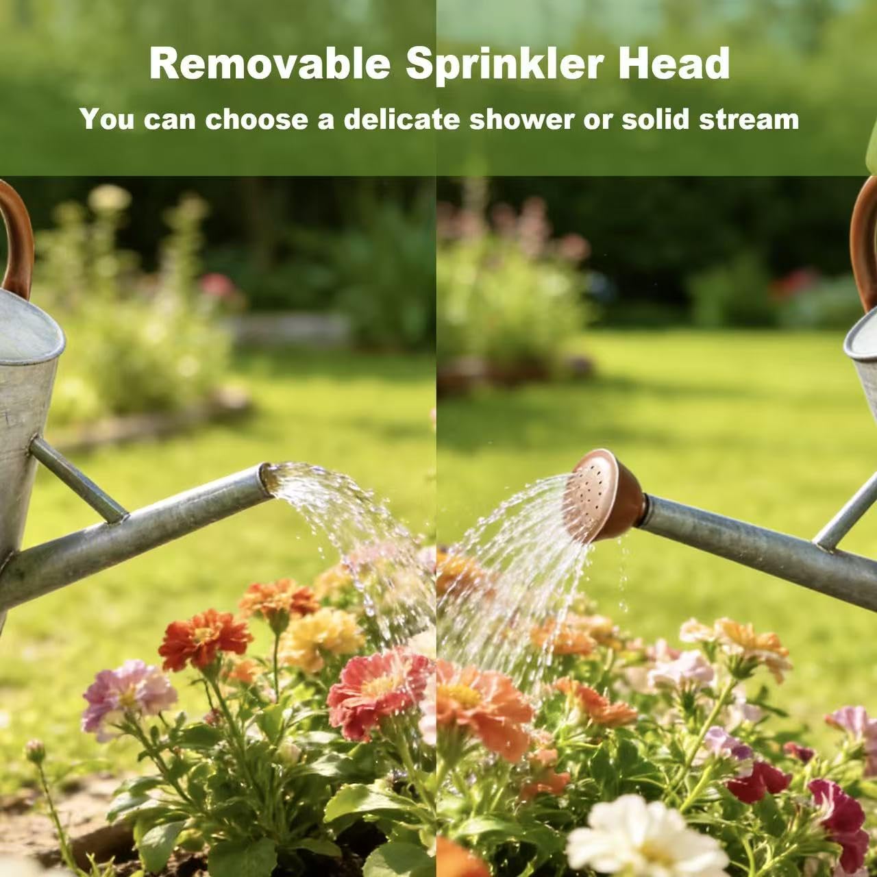 Watering Can for Outdoor&Indoor Plants，1.5 Gallon（5.7L） Metal Watering Can with with Removable Spout，Large Galvanized Steel Garden Flower Water Can Watering Pot with 2 Handles，Rustic Silver