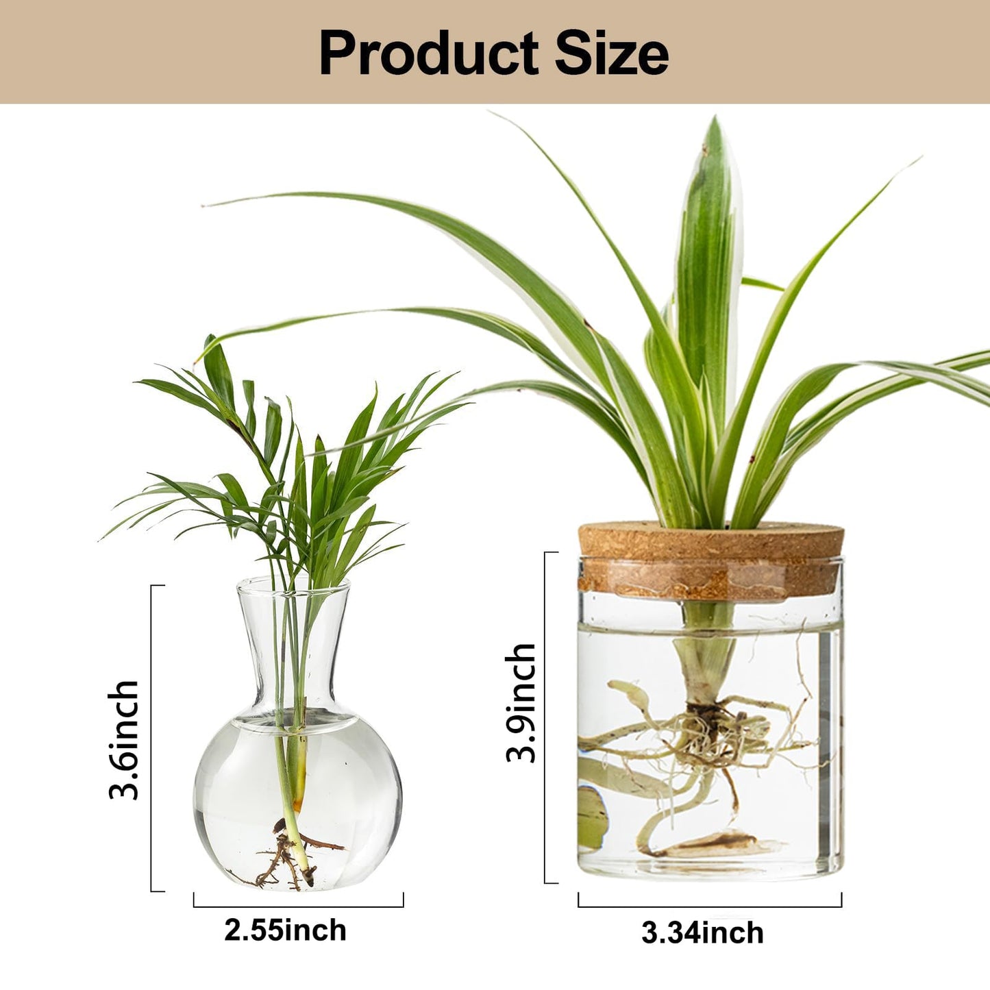 Plant Propagation Stations, 2 Style Glass Planter Terrariums, Propagation Vases for Plant, Plant Propagation Jars for Hydroponic Planter Home Office Tabletop Decoration (8)