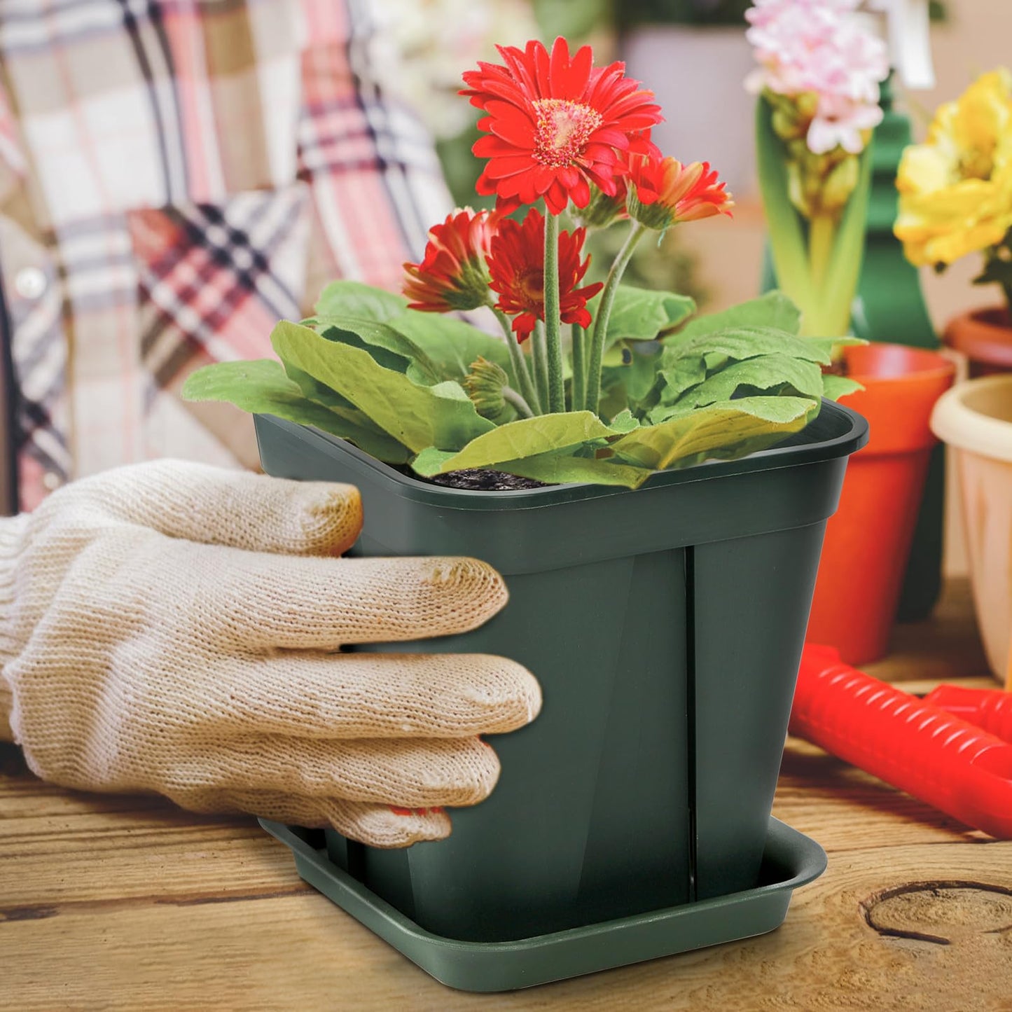 Fasmov 10 Pcs Square Nursery Pot 7 Inch Plastic Plant Pots with Drainage Hole Garden Flower Pots Nursery Plant Container, Flower Planters with Trays for Succulents Herbs Cactus, Green