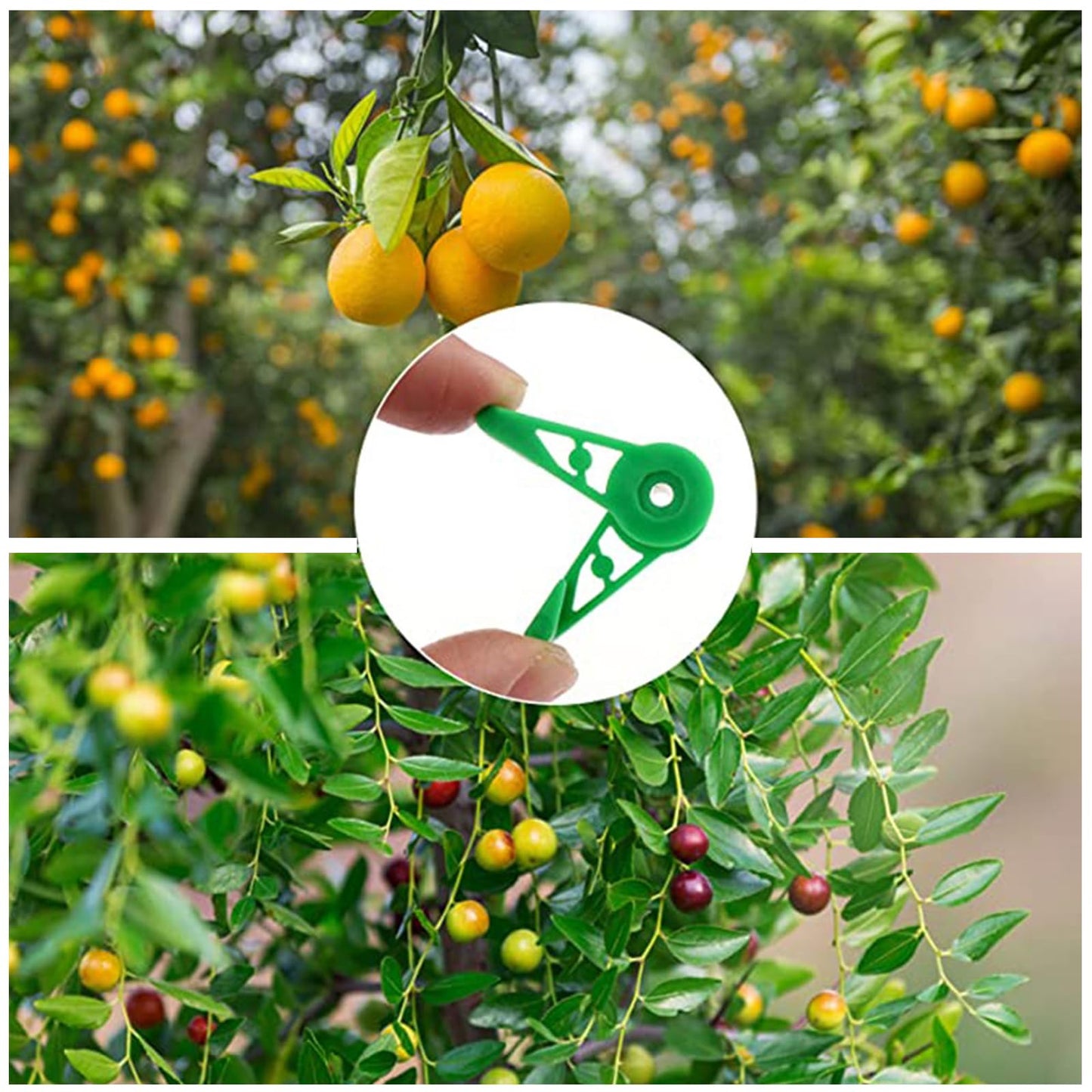 120 Pcs 360 Degree Adjustable Plant Clips VOVCAMLS Plant Trainer Plant Support Clips 360 Degree, Plant Stem Trainer for Bending Plant Stems and Changing The Growing Direction (60* Green, 60* White)