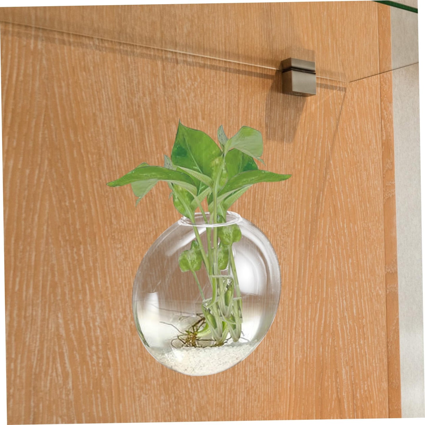 Zerodeko Transparent Glass Wall Hanging Planter Vase for Hydroponic Plants Space Saving Glass Terrarium Container for Indoor Home Decor Easy to Clean and Maintain Suitable for Small