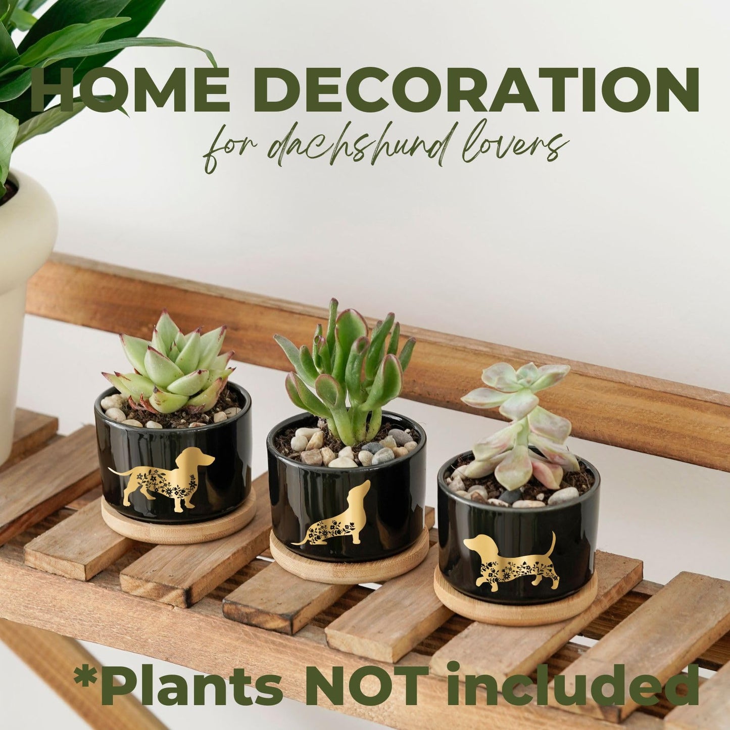 InnoBeta Dachshund Gifts Succulent Plant Pots 3pcs, Gifts for Dachshund Lovers, Planter Pot with Bamboo Tray, Plants NOT Included, Cute Ceramic Pots for Birthday, Christmas