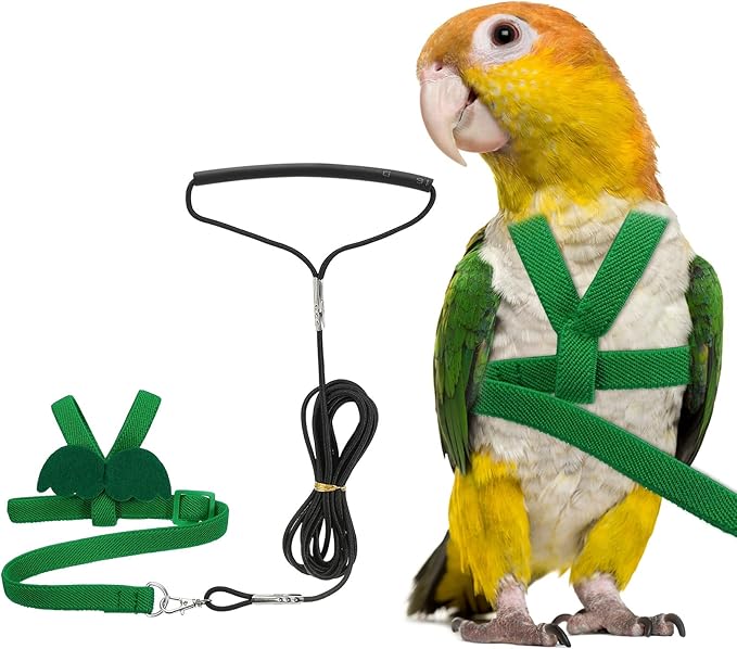 Bird Harness Leash, Adjustable Pet Parrot Bird Harness and Leash Lightweight Anti-Bite Flight Training Rope with Cute Wing, (Green, M), Intended for Parrots/Pigeons/Budgies