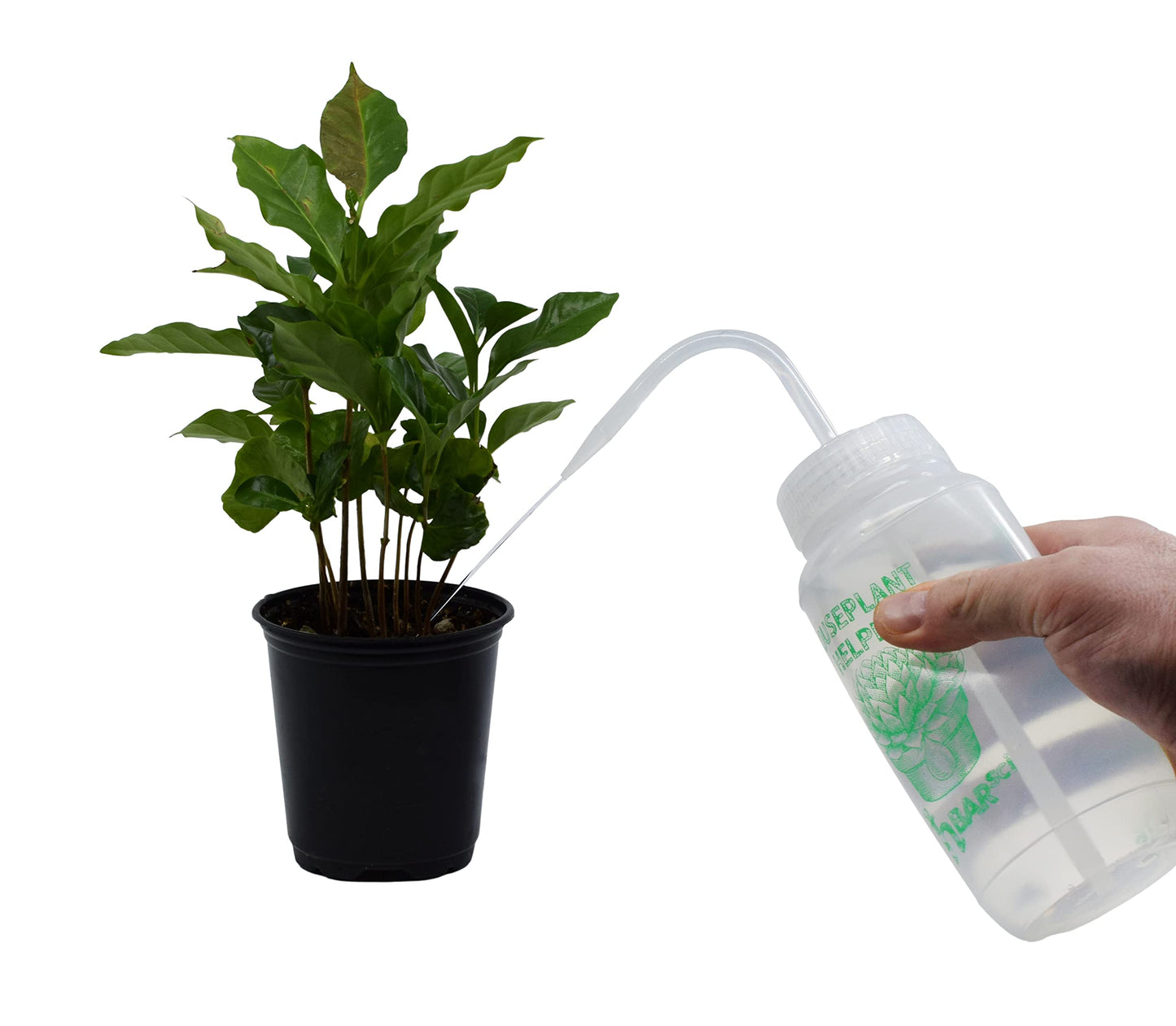 hBARSCI 2PK Houseplant Helper Plant Water Bottle, 16oz -Weekly Irrigation Scale Printed on Side - Plant Watering Devices, Succulent Watering Bottle, Indoor House Plant Waterer, Seed Tray Watering Can