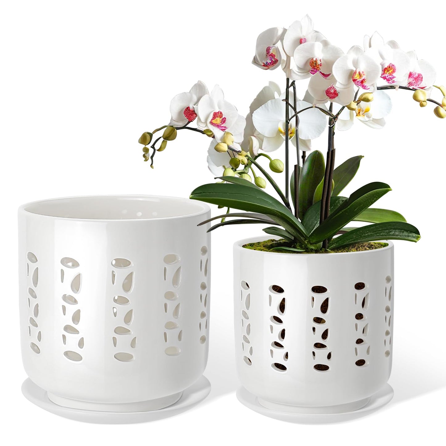 KERUITA Ceramic Orchid Pots with Holes – 5" & 6" Orchid Planter Set with Drainage and Saucers, Breathable Orchid Pots for Healthy Roots