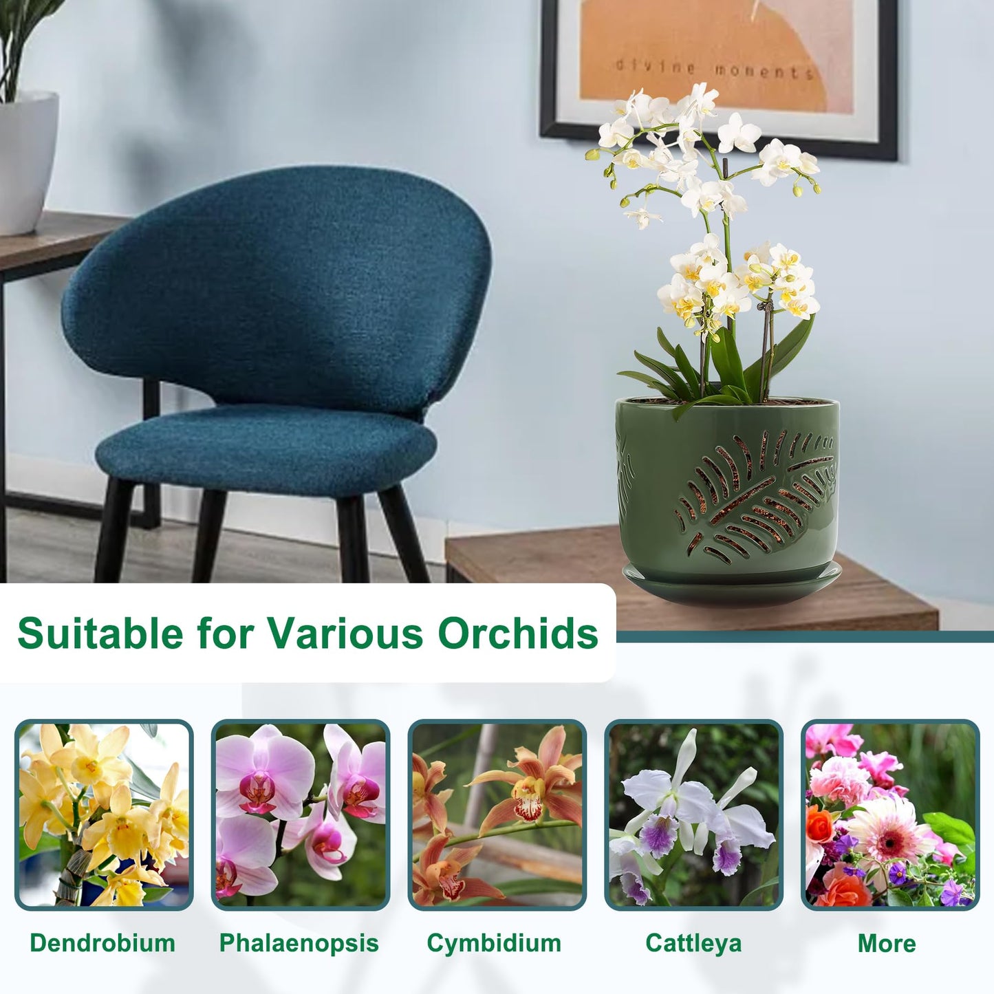LITUDISO 5+6 inch Orchid Pots with Holes, Orchid Pots for Repotting, Healthy Air Circulation Plant Pots for Plant Lovers, Planters for Indoor/Outdoor Plants, Set of 2
